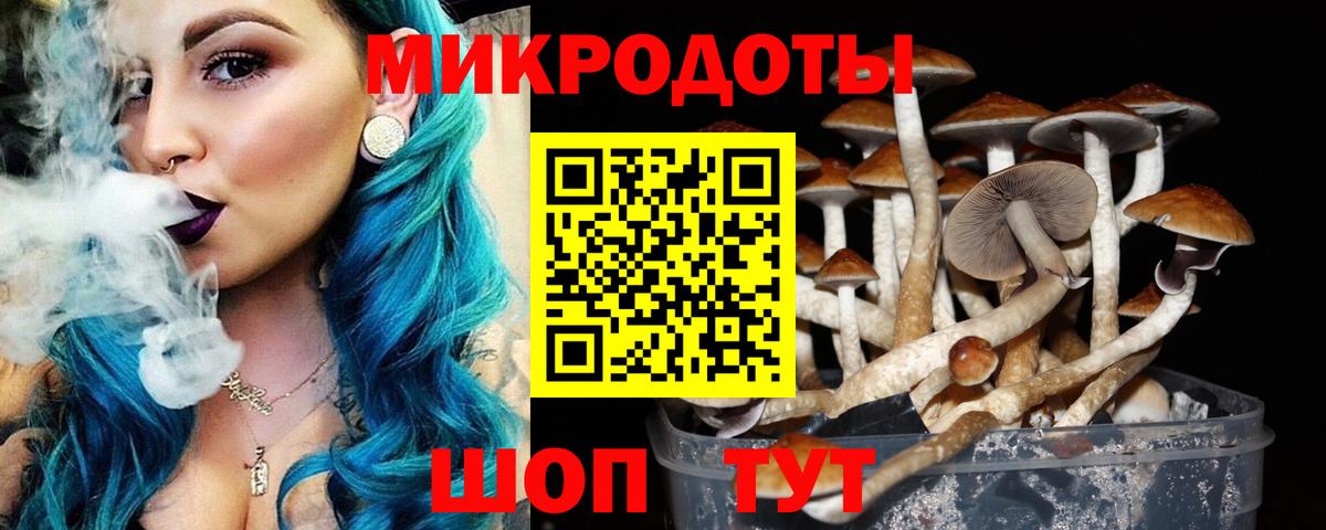 Псилоцибиновые грибы GOLDEN TEACHER  Псилоцибиновые грибы GOLDEN TEACHER  Зеленокумск  Вход с VPN 