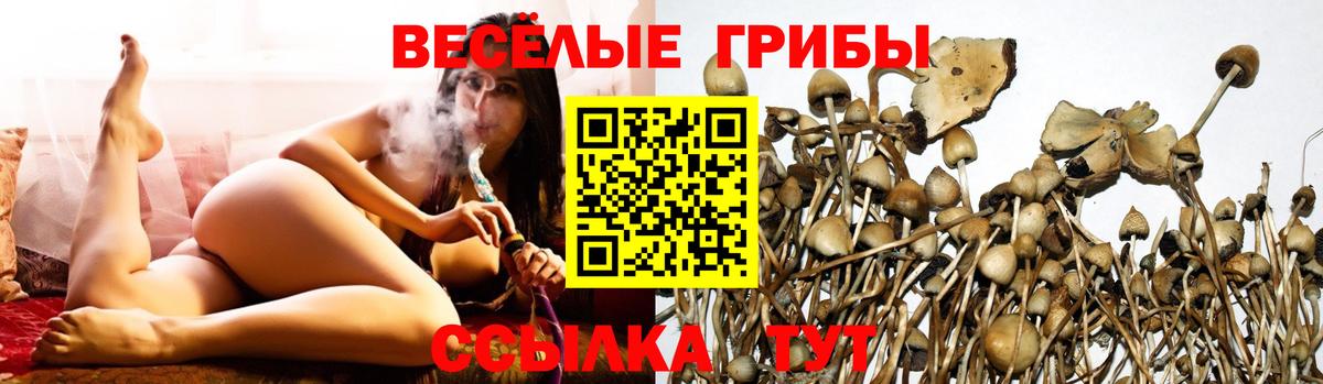 Псилоцибиновые грибы MAGIC MUSHROOMS Зеленокумск